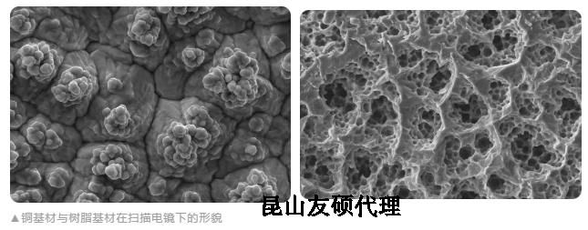 天门蔡司天门扫描电镜