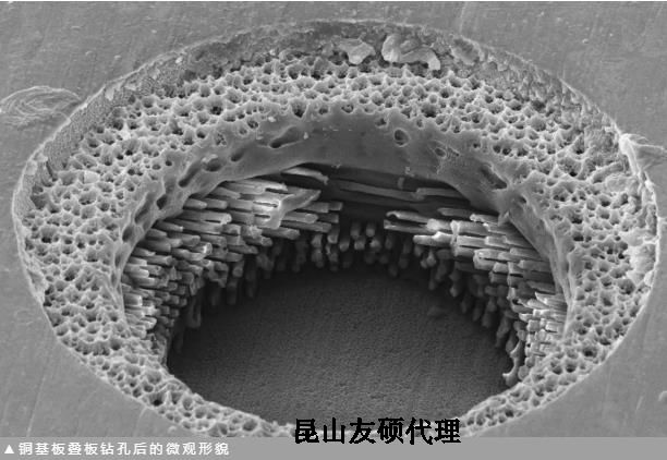 天门蔡司天门扫描电镜